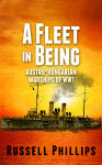 A Fleet in Being